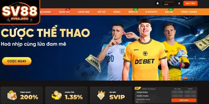 Lời khuyên từ chuyên gia