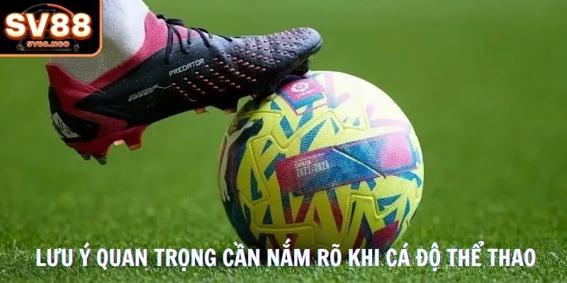 Lưu ý quan trọng cần nắm rõ khi cá độ thể thao