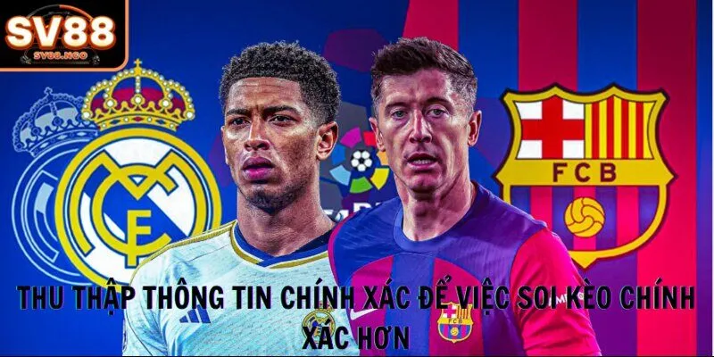Thu thập thông tin chính xác để việc soi kèo chính xác hơn