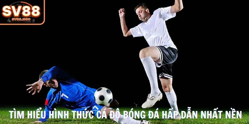 Tìm hiểu hình thức cá độ bóng đá hấp dẫn nhất nền tảng